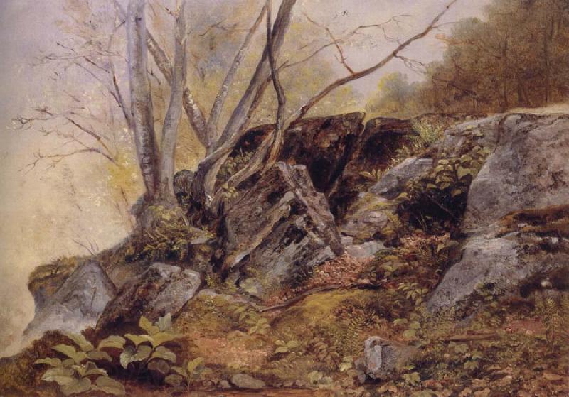 Asher Brown Durand Study from Nature,Bronxville France oil painting art